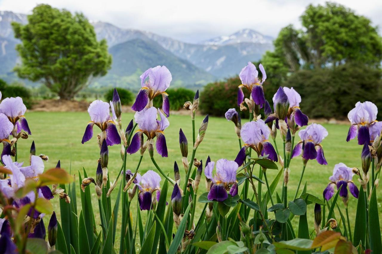 Awatea Country Bed & Breakfast Kaikoura Exteriör bild